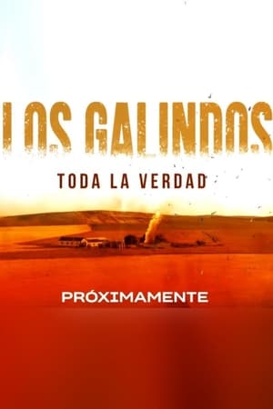 Los Galindos, toda la verdad temporada  1 online