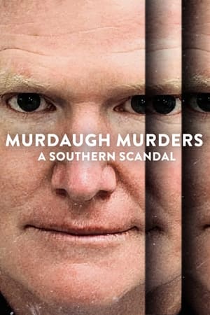 Los Murdaugh: Muerte y escándalo en Carolina del Sur T 1 C 2 online gratis