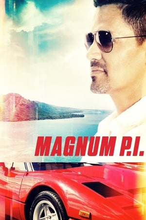 Magnum Temporada 2 online gratis