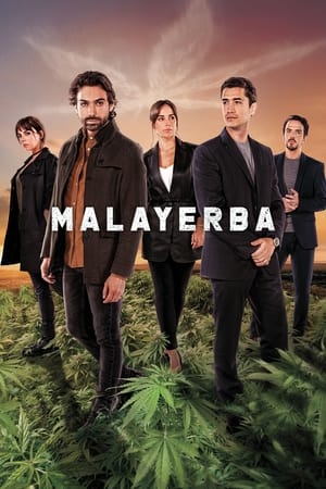 MalaYerba Temporada 1 online gratis