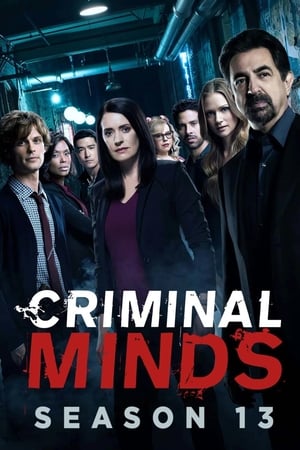 Mentes criminales T 13 C 13 online gratis