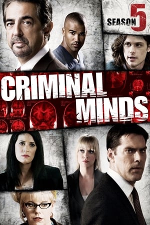 Mentes criminales T 5 C 13 online gratis