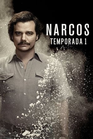 Narcos T 1 C 6 online gratis