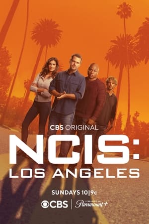 NCIS: Los Ángeles T 14 C 19 online gratis