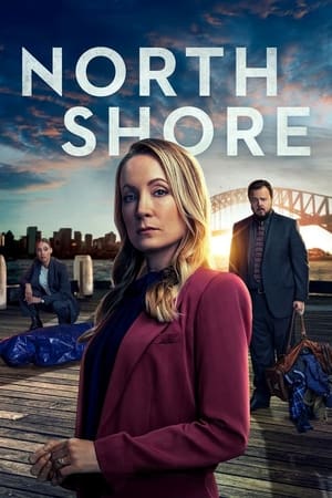 North Shore Temporada 1 online gratis