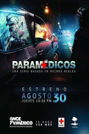 Paramédicos T 1 C 13 online gratis