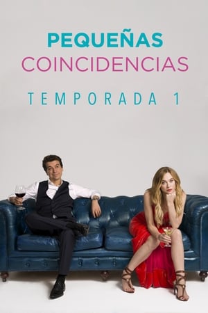 Pequeñas Coincidencias T 1 C 3 online gratis