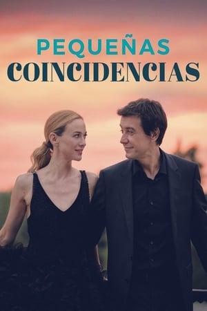 Pequeñas Coincidencias T 2 C 11 online gratis