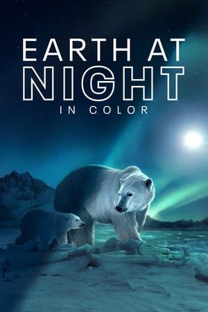 Planeta nocturno: a todo color temporada  2 online