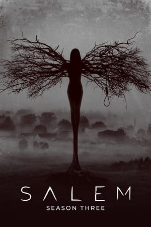 Salem T 3 C 10 online gratis