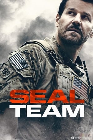 SEAL Team T 2 C 15 online gratis