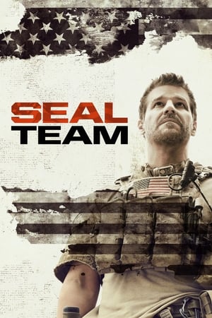 SEAL Team T 3 C 15 online gratis