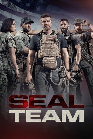 SEAL Team T 5 C 14 online gratis