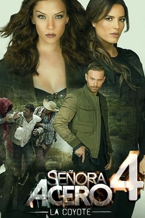 Señora Acero temporada  4 online