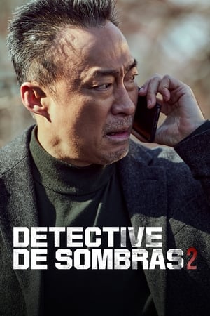 Shadow Detective T 2 C 5 online gratis