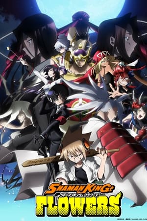 SHAMAN KING FLOWERS temporada  1 online