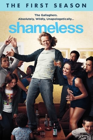 Shameless Temporada 1 online gratis