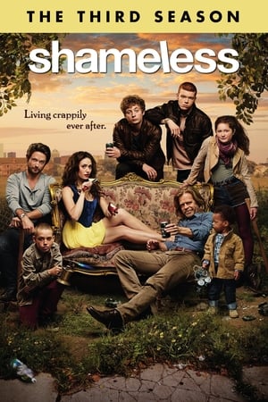 Shameless T 3 C 6 online gratis