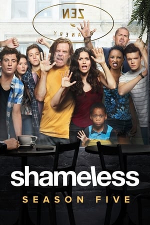 Shameless Temporada 5 online gratis