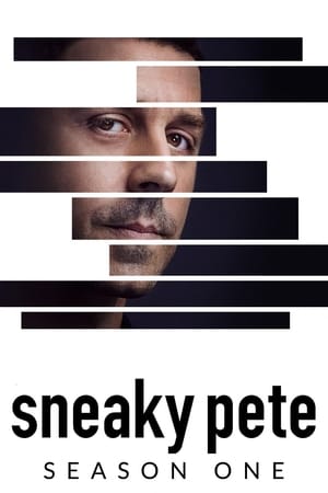 Sneaky Pete T 1 C 8 online gratis