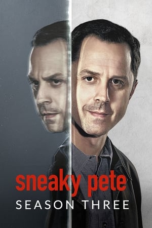 Sneaky Pete T 3 C 10 online gratis