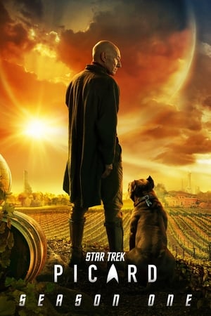 Star Trek: Picard temporada  1 online