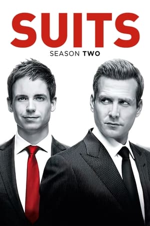 Suits: la clave del éxito temporada  2 online