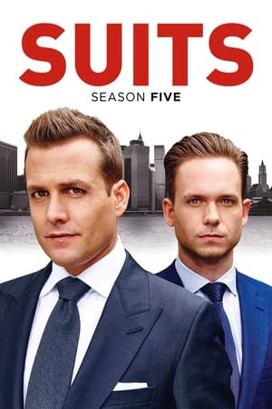 Suits: la clave del éxito temporada  5 online