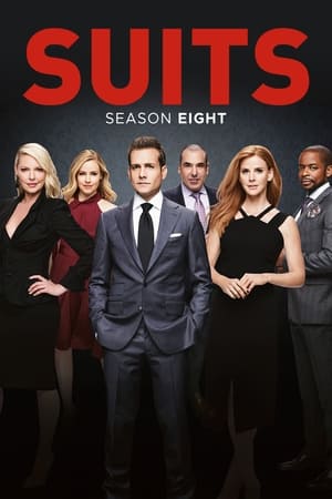 Suits: la clave del éxito temporada  8 online