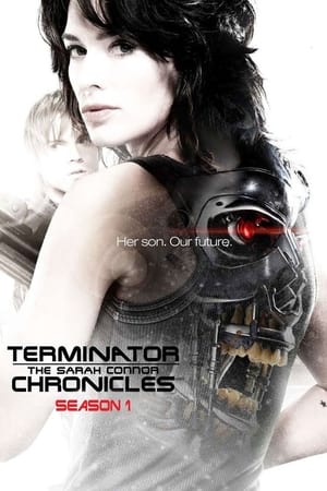 Terminator: Las crónicas de Sarah Connor T 1 C 8 online gratis