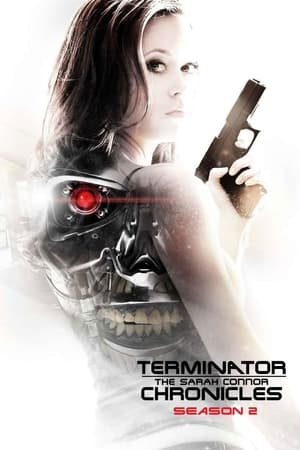 Terminator: Las crónicas de Sarah Connor T 2 C 6 online gratis