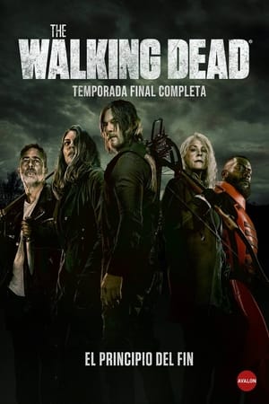 The Walking Dead T 11 C 17 online gratis