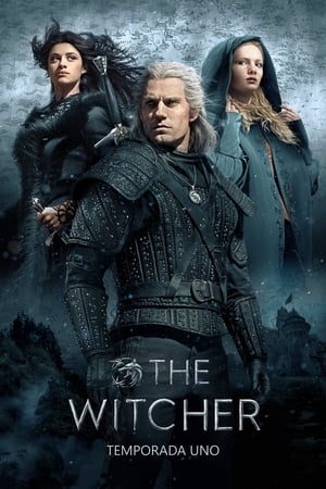 The Witcher T 1 C 6 online gratis