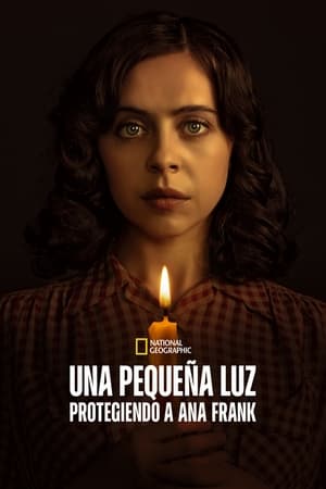 Una pequeña luz: protegiendo a Ana Frank online