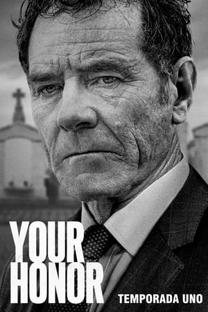 Your Honor temporada  1 online