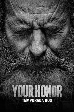 Your Honor T 2 C 8 online gratis