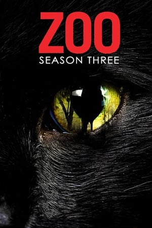 Zoo T 3 C 6 online gratis